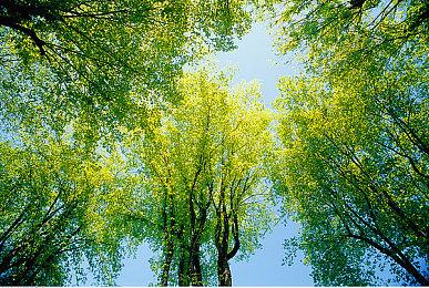 《赛博朋克2077》续作将是电影和游戏的独特融合 更具电影沉浸感